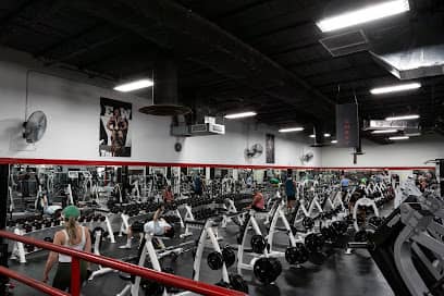 Apex Gym and Training - Gym in Oakland Park