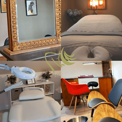 Ana Luis Salon & Day Spa - Beauty salon in Saginaw