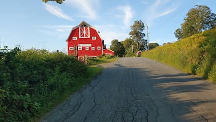 Milldale Farm Center for Wellness - Wellness center in Fairlee